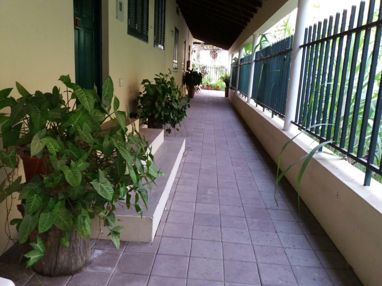 Cha de Arroz Ribeira Grande Country House المظهر الخارجي الصورة