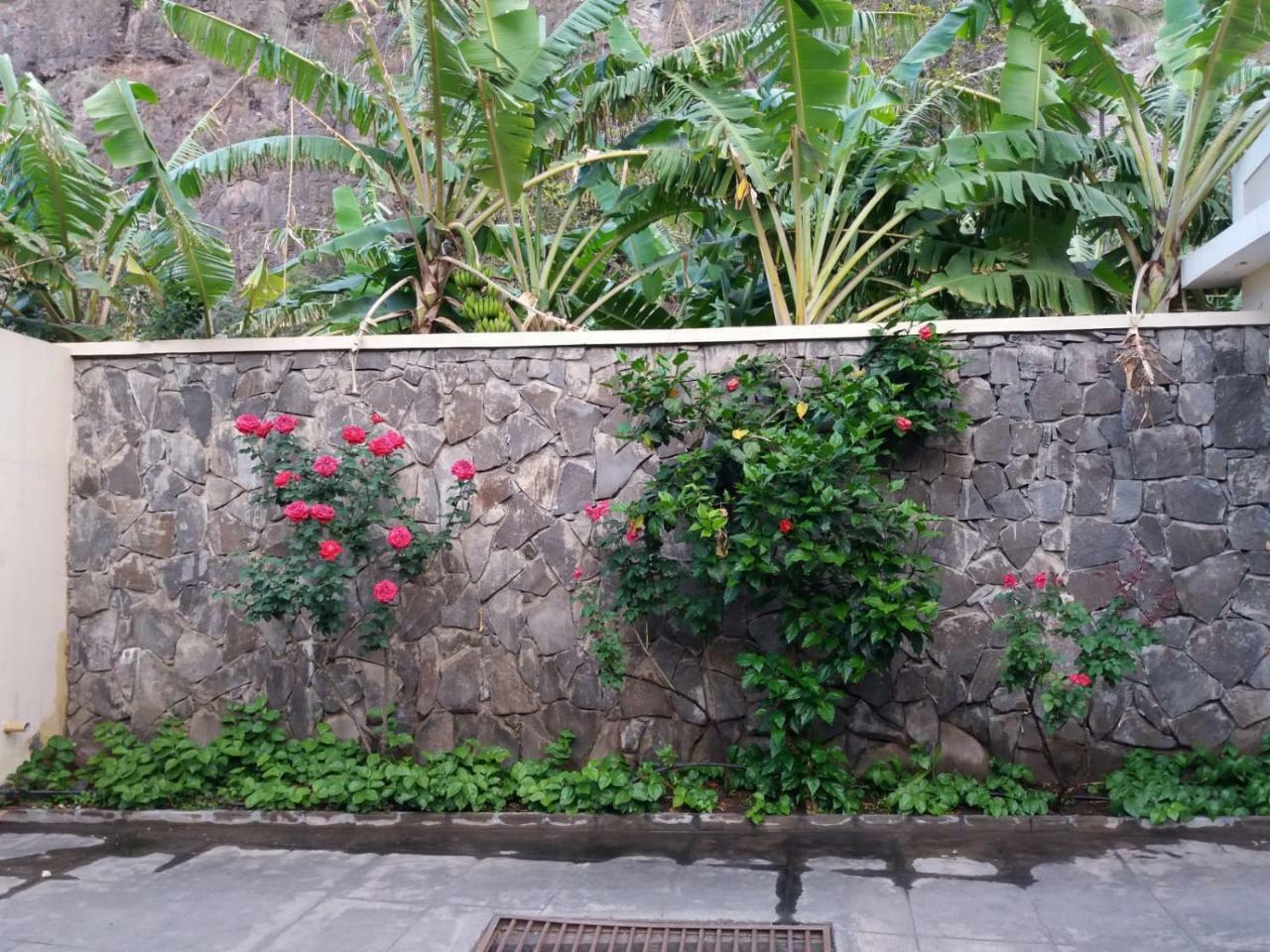 Cha de Arroz Ribeira Grande Country House المظهر الخارجي الصورة