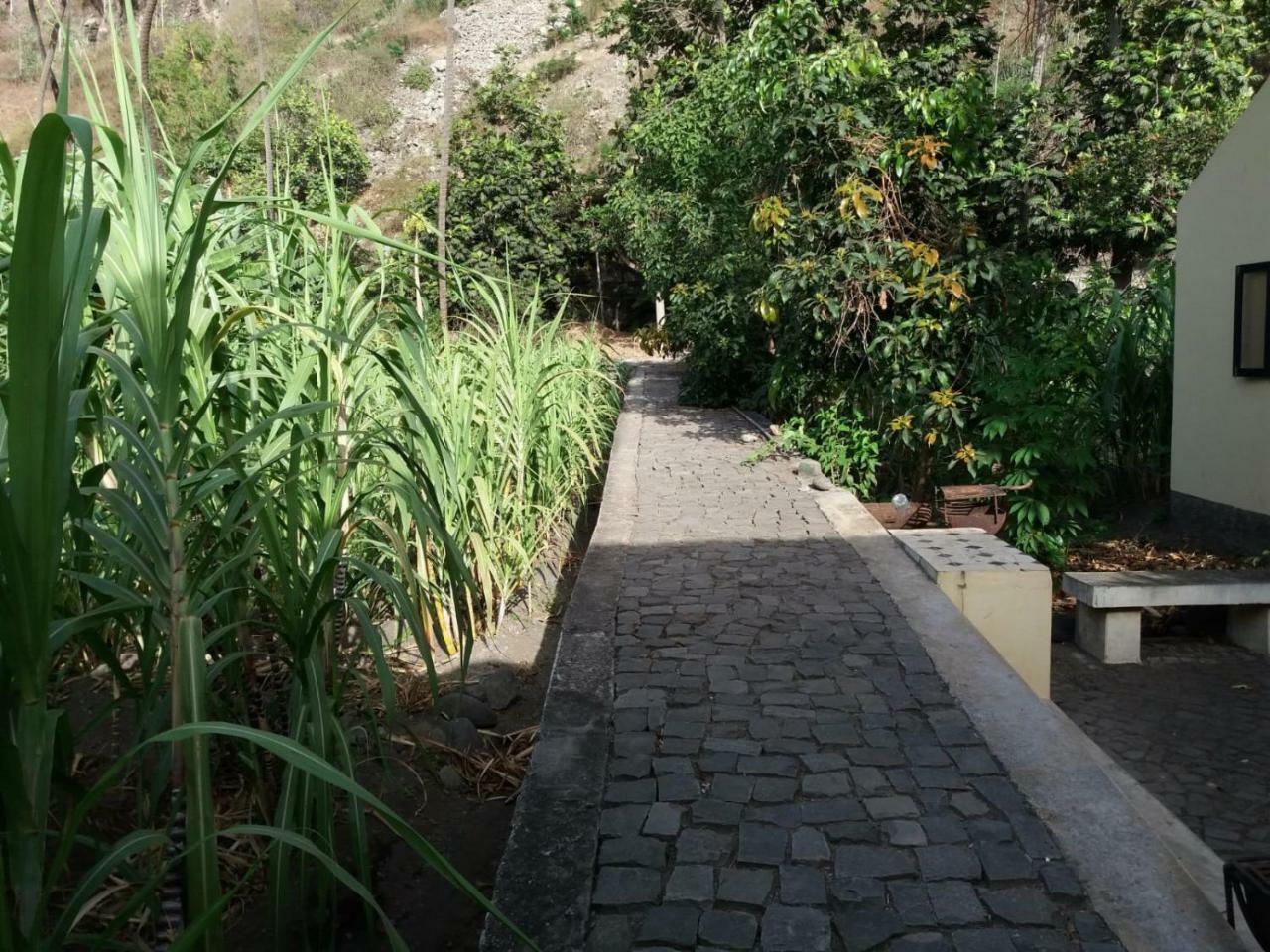 Cha de Arroz Ribeira Grande Country House المظهر الخارجي الصورة