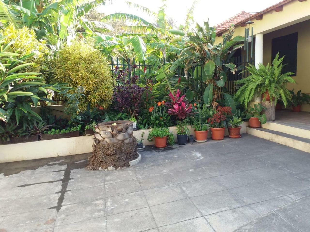 Cha de Arroz Ribeira Grande Country House المظهر الخارجي الصورة
