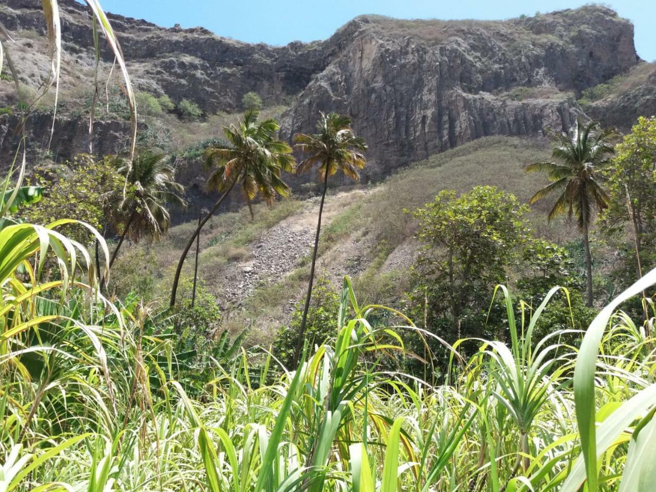Cha de Arroz Ribeira Grande Country House المظهر الخارجي الصورة