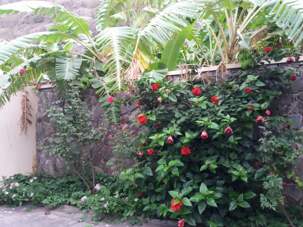 Cha de Arroz Ribeira Grande Country House المظهر الخارجي الصورة