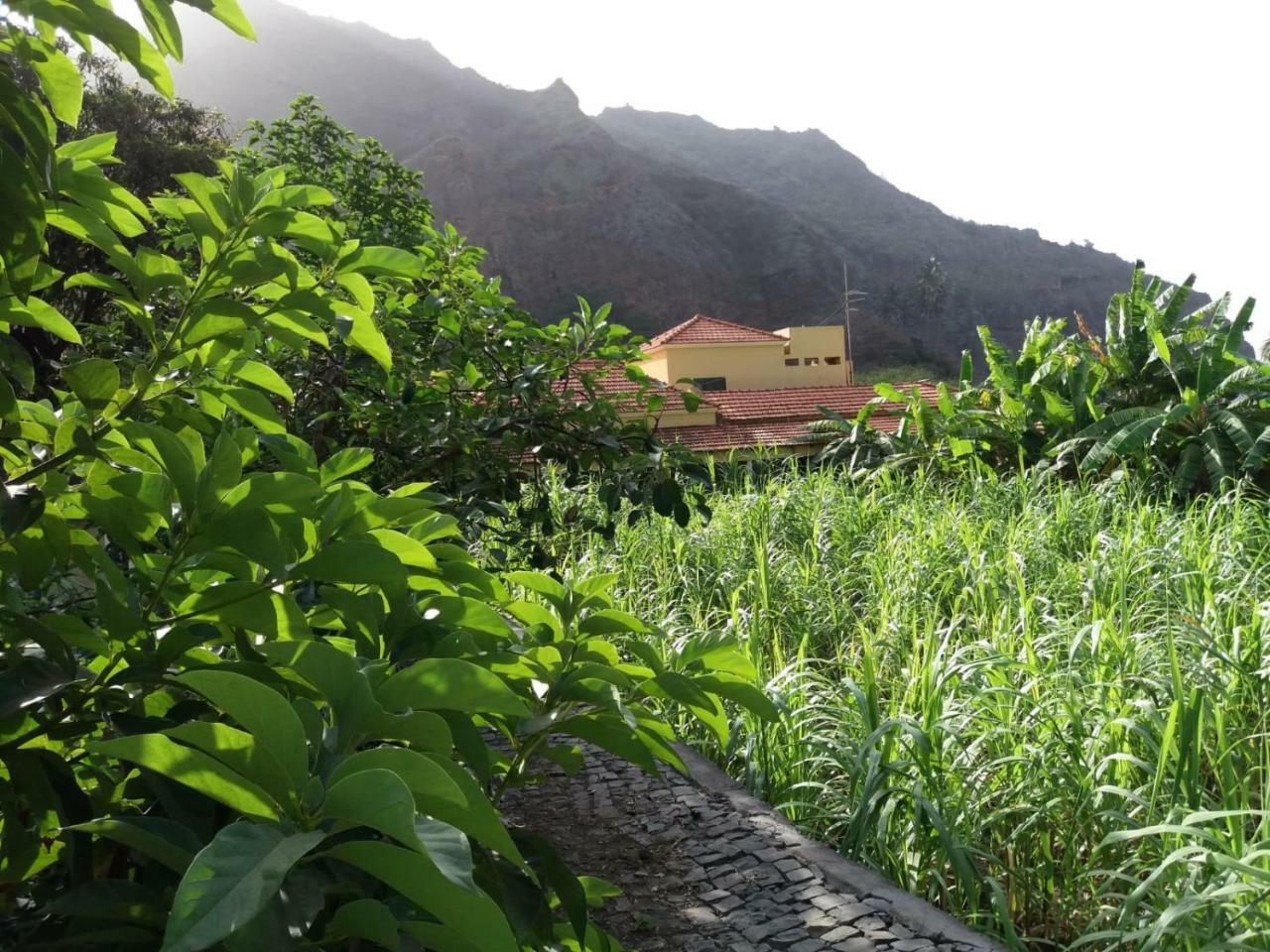 Cha de Arroz Ribeira Grande Country House المظهر الخارجي الصورة