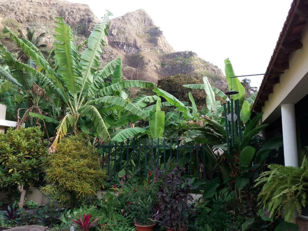 Cha de Arroz Ribeira Grande Country House المظهر الخارجي الصورة
